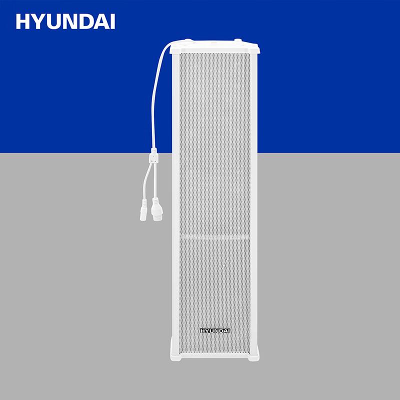 Hyundai IP Network Broadcasting Audio Systems CN plug (adapter included)