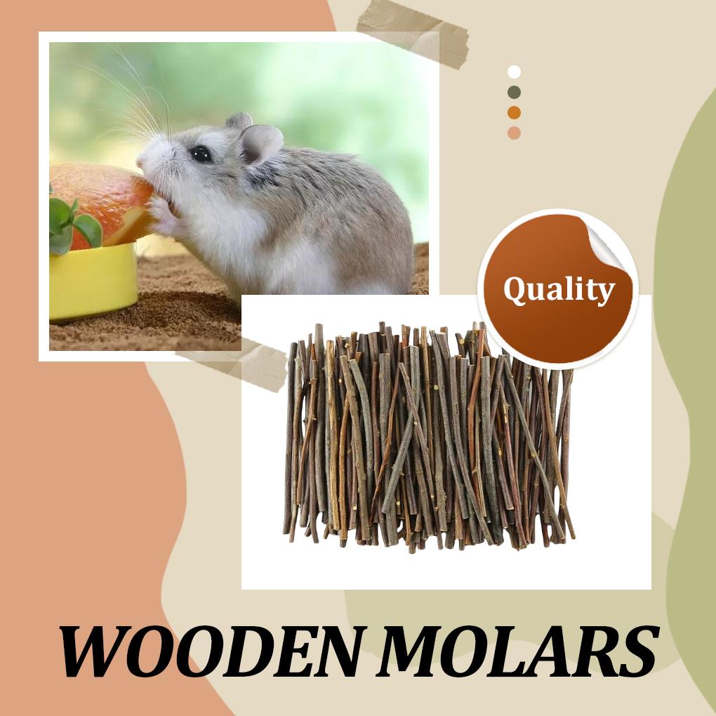 Small Pet Portable Teething Wood Assortment Rodent Teether Log Stick Teeth Grinding Tool Toys Home Decoration Pets Supplies