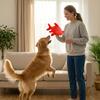 Self  Soothing To Relieves Boredom Hard To Chew Bruxism Pet Toys