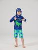 Zweiteiliger Jungen-Badeanzug mit langen Ärmeln - Dinosaurier-Design, Grün, Schnelltrocknend, Sonnenschutz für Kleinkinder und Jungen