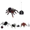 Remote Control Spider Toy With Plastic Material For Kids Age 7 To 14