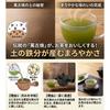 Japanese-made Banko ware teapot (320ml) - Features a non-drip design. Suitable for deep-steaming tea.