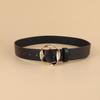 Everything Simple Hot Selling Practical Daily Creative Wide Belt Women's Popular Personalized Decorative Dress Belt