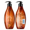 Seeyoung Tea Seed Oil Control and Anti-Dandruff Shampoo