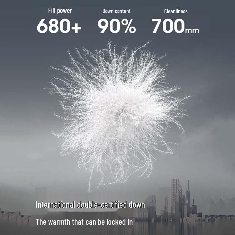 Bosideng B250246390 Hooded Thick Warm Down Jacket