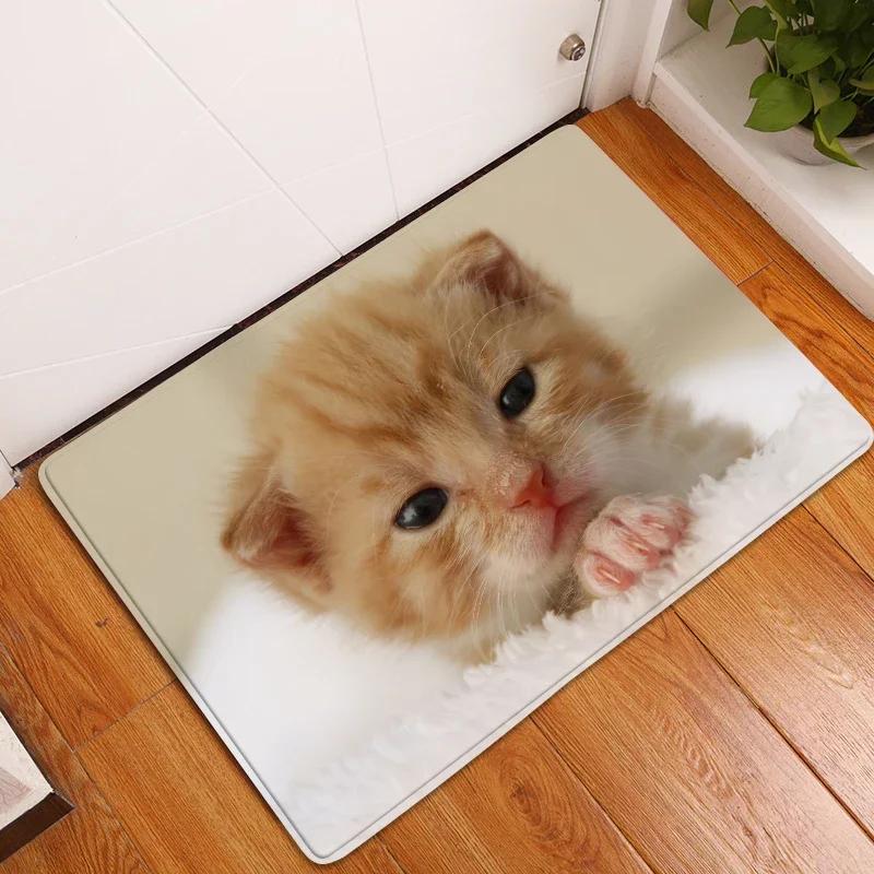 Cute Cat Animals Pattern Anti-Slip Carpet Bath Kitchen Super Absorbent Door Mats Non Slip Area Rugs for Home Living Room Decor