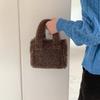 Autumn and Winter Lazy Plush Bag Crossbody Retro Casual Portable Wool Bag Versatile Lamb Wool Shoulder Small Square Bag