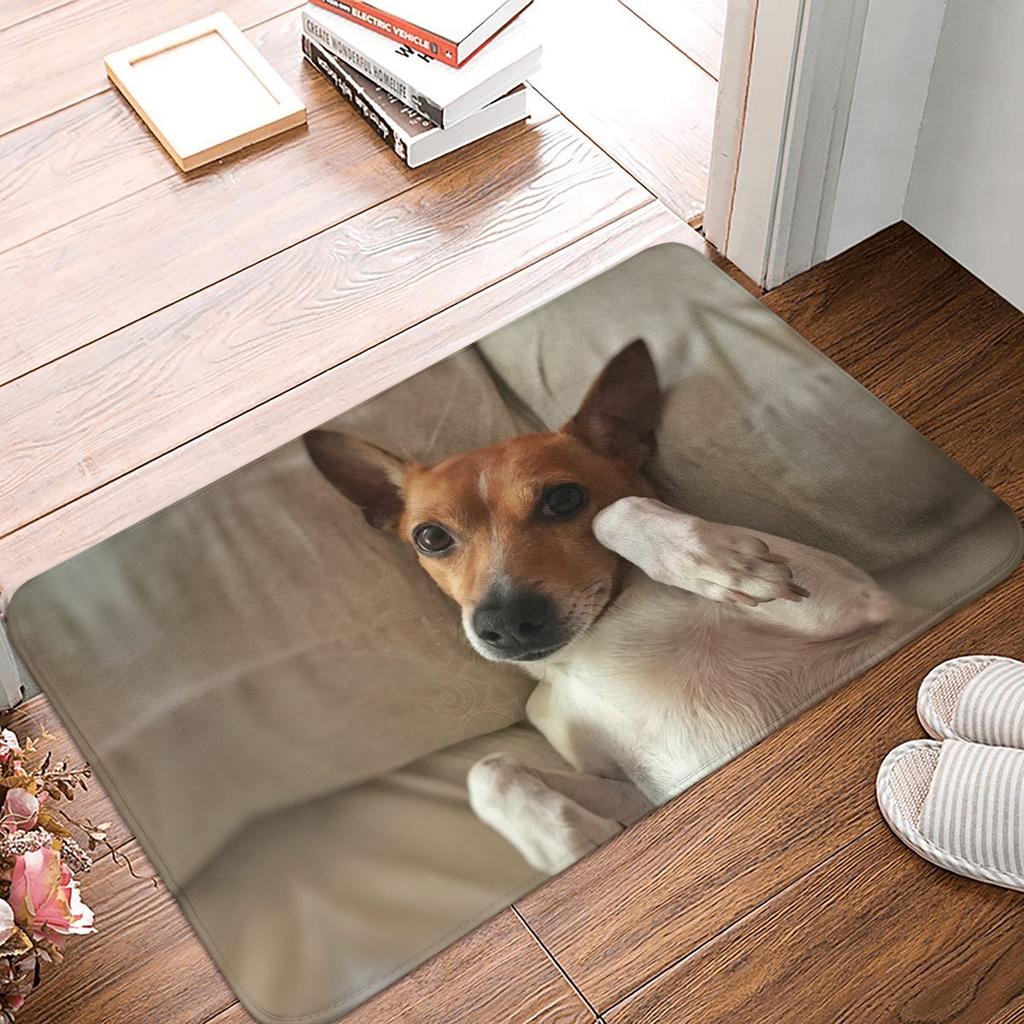 Funny Jack Russell Terrier Front Door Floor Entrance Mat Outdoor  Bath Kitchen Doormat Living Room Carpet Rug