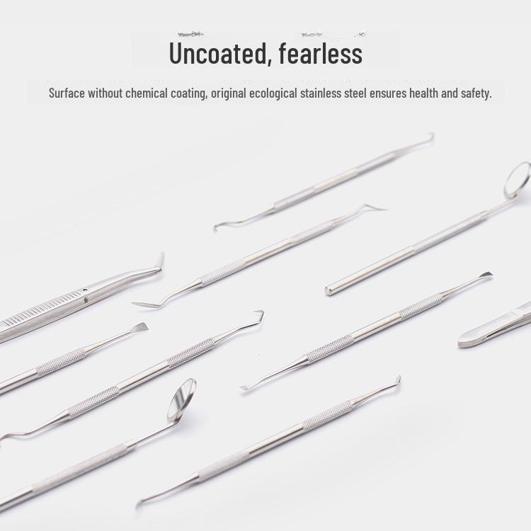 Stainless Steel Dental Tartar Remover Tool Set