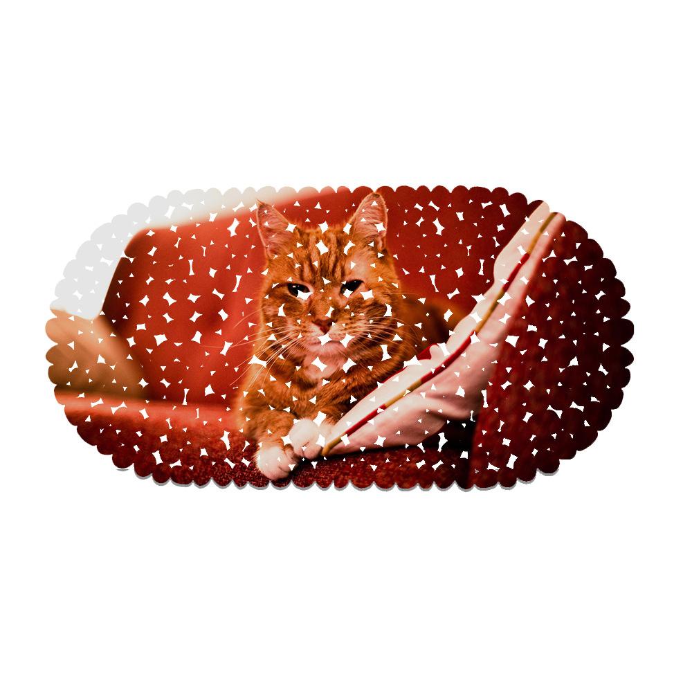 Cute Pet Cat Picture Balcony Bathroom Mat Hydrophobic Non-Slip Door Mat Swimming Pool Public Places Non-Slip Floor Mat