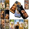 Casing for Apple iPhone 16 14 15 Plus 11 Pro Max 16E ProMax + 16Plus 15+ 14+ Phone Cover Protective Case Golden Retriever Dog