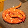 Snake Plush Toys Cartoon Animals Simulation Fill Doll Prank Childrens Day Gift