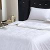 Yalu Handmade Natural Tussah Silk Quilt