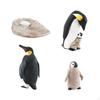 Penguin Growth Cycle Toy Animal Life Model Set, Educational Toys for Kids, Photo Props, Early