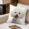 1 Stück Weiße Hundeprint Kissenbezüge Schlafzimmer Sofa Quadratische Kissenhülle Wohnzimmer Stuhl Kissenbezüge Innen Hausdekoration Geschenk