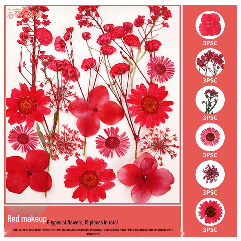 Handmade Pressed Flower Bookmark and Epoxy Sticker Pack with Real Leaf and Plant Specimens for DIY Face Makeup.
