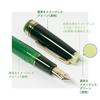Sailor Fountain Pen "Tea Time Around the World" Matcha 21K M Nib 11-3304-460