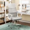ZISIZ Ergonomic Office Chair