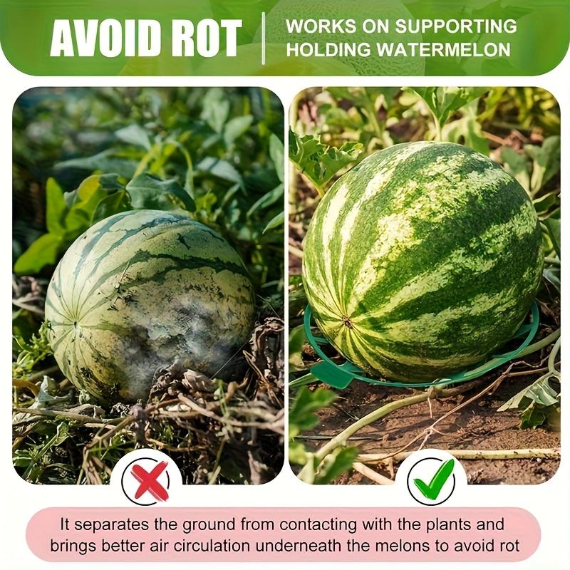 20pcs Plastic Watermelon Stands, Stable Windproof Design, Suitable for Various Fruits, Home Garden Planting, Tray Holder for Household Watermelons