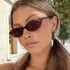 Retro Oval Frame Sunglasses Fashion Personalized Trendy Small Frame Sunglasses Punk Cat Eyes Sunshade Sun Protection Glasses
