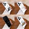 Punjab Map  Phone Case For iPhone 17,16,15,14,13,12,11 Pro,Max,Plus,X,XS,XR,SE4,E Mini Transparent Soft Cover