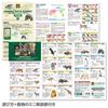 Carolata Animal Data Slider for Wild Animals Mini Illustrated Educational Gift (with Guidebook) - Game, Guide, Toy, Kids'