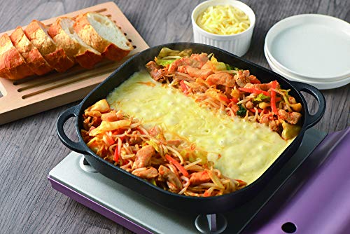 Pearl Metal Steak Plate, Flat, 24x24cm, Cast Iron Grill Plate, Sprout Design, HB-4622