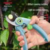 Delixi Pruning Shears for Garden, Tree Branches, Fruit Trees, and Floral Art.