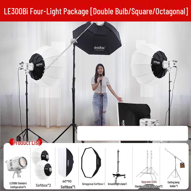 Godox LE300Bi Bi-Color LED Continuous Video Light Kit