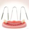 1Pcs Stainless Steel Tongue Scraper Fresh Breath Cleaning Coated Tongue Toothbrush Oral Hygiene U-Shaped Metal Tongue Scraper
