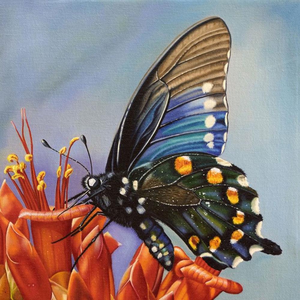 Diy 5D Diamond Painting Butterfly Flower Diamond Embroidery Cross Stitch Kit Mosaic Picture Home Decoration New Year Gift