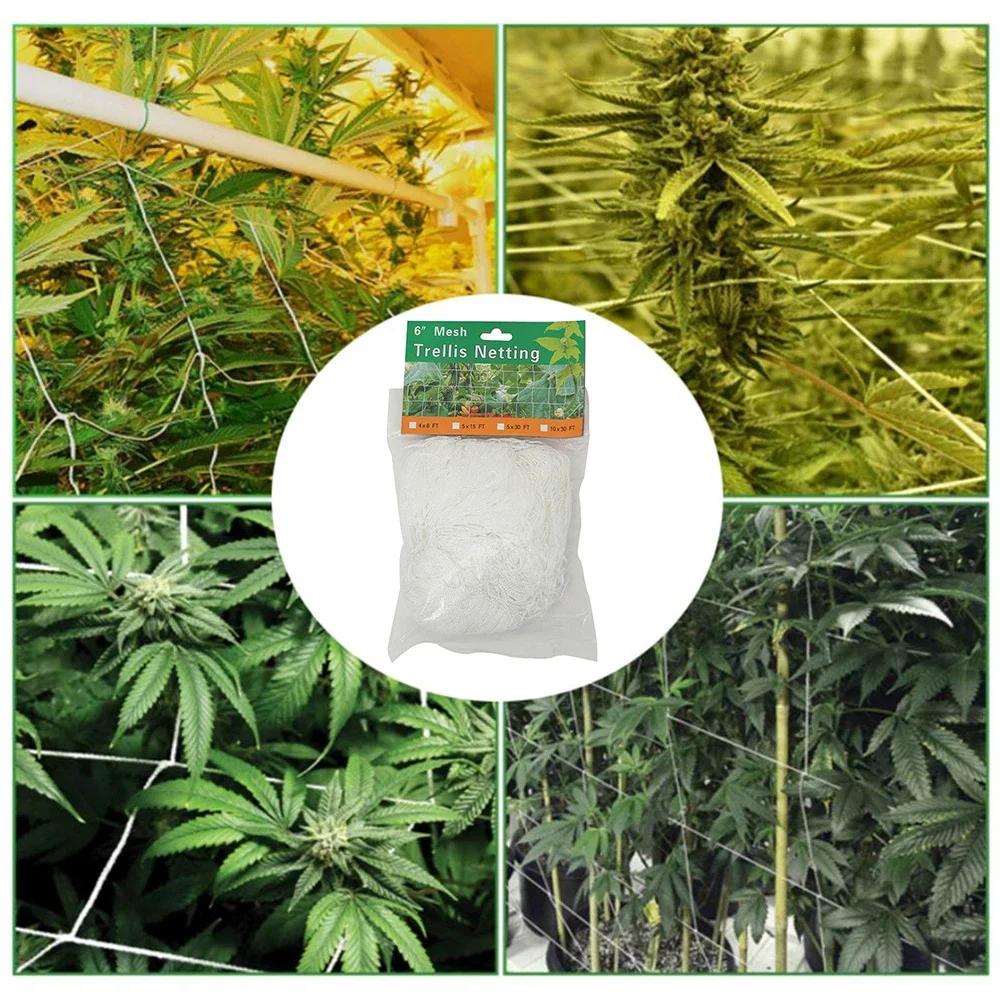 10M Gartenpflanzen Kletternetz Langlebiges Polyester Rankgitter Maschennetz Bohnenpflanzenstütze Weinrebenwachszaun Hydroponik Netz Zubehör