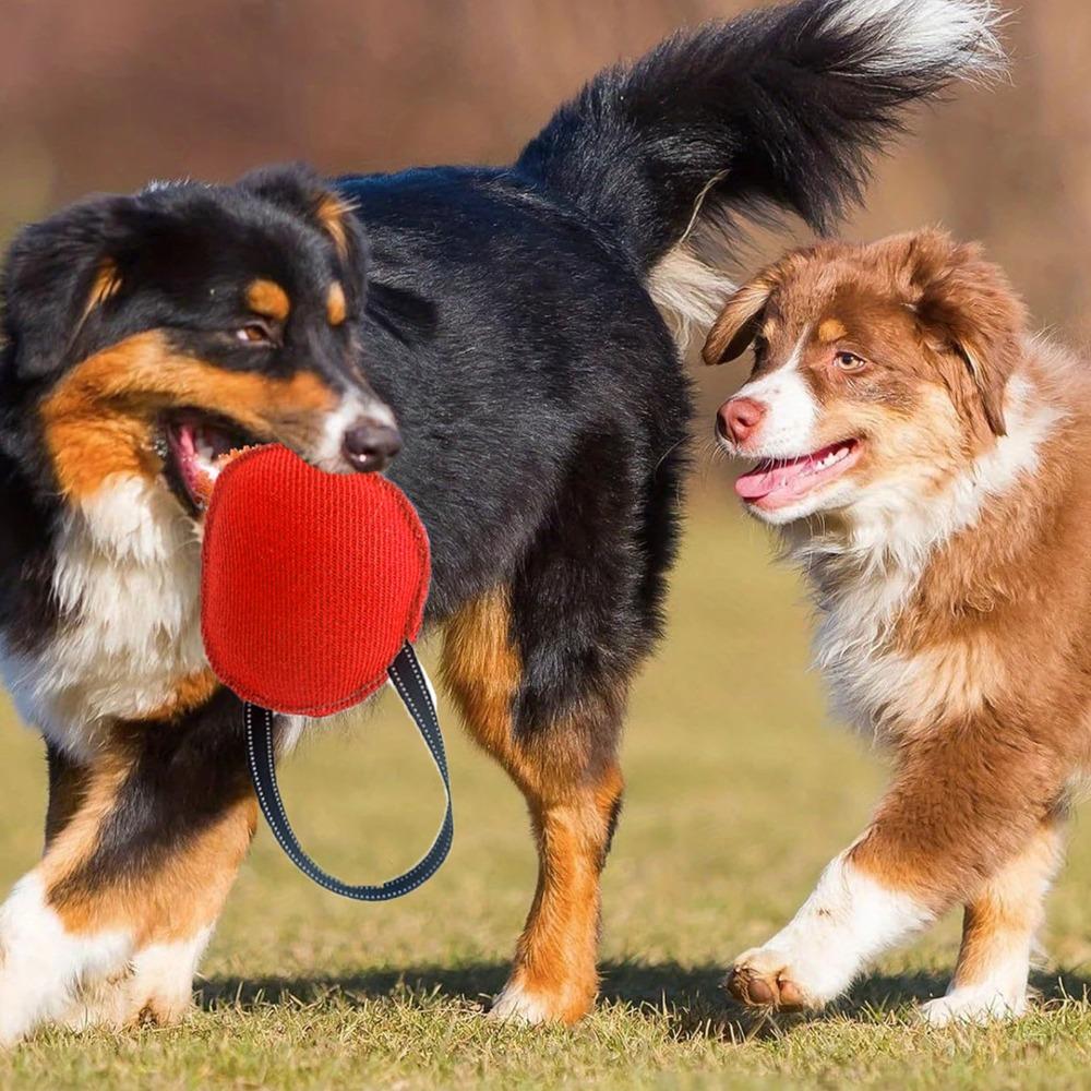 Bite Safe Surface Dog Training Bite Bag Medium Small Dog Toy Small Medium Dog Use