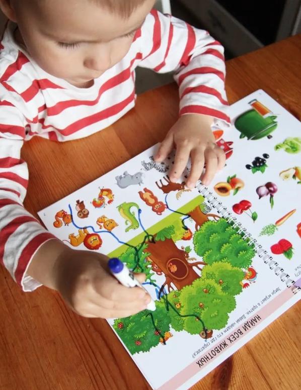 Children's Reusable Developing Copybook Write-erase  2-6 Years Old