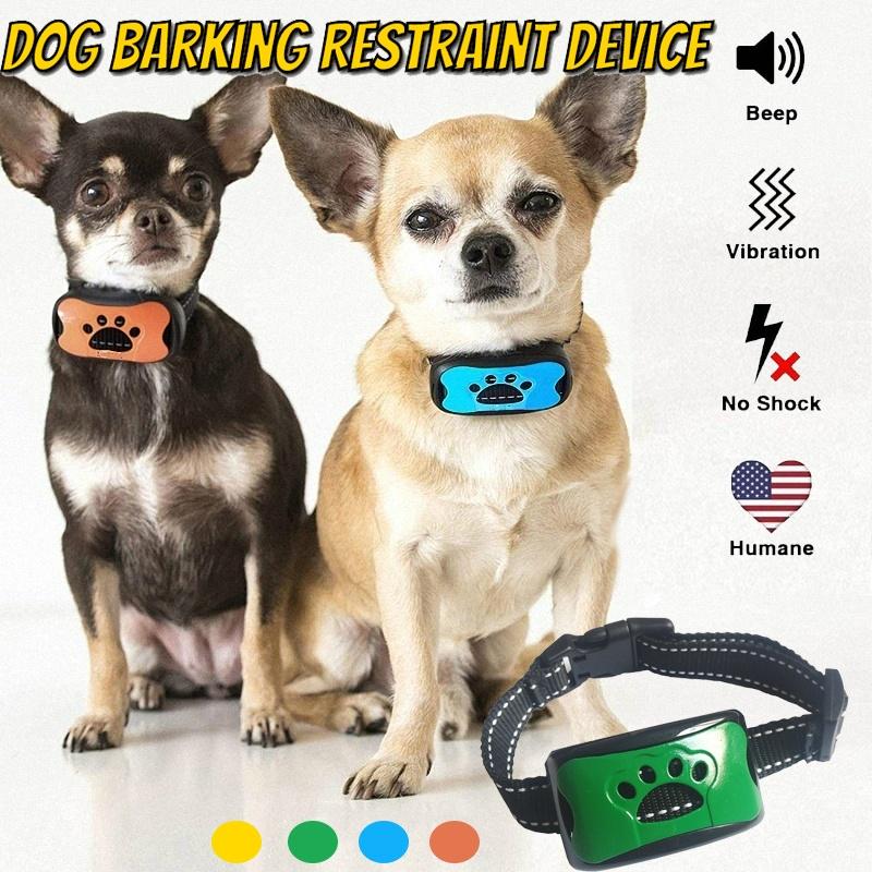 cat litter filter replacement