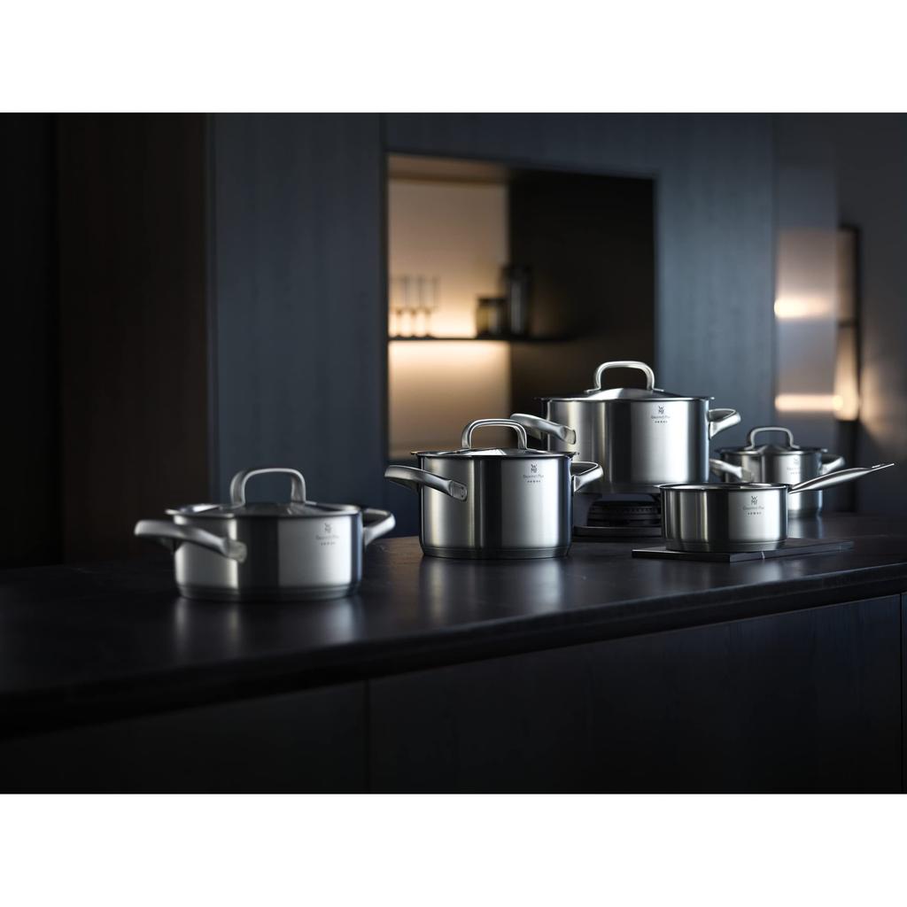 WMF (WMF) Double-handled shallow saucepan, 20cm, IH and gas stove compatible, matte finish, heavy-duty design, "Gourmet Plus Low Casserole," stainless