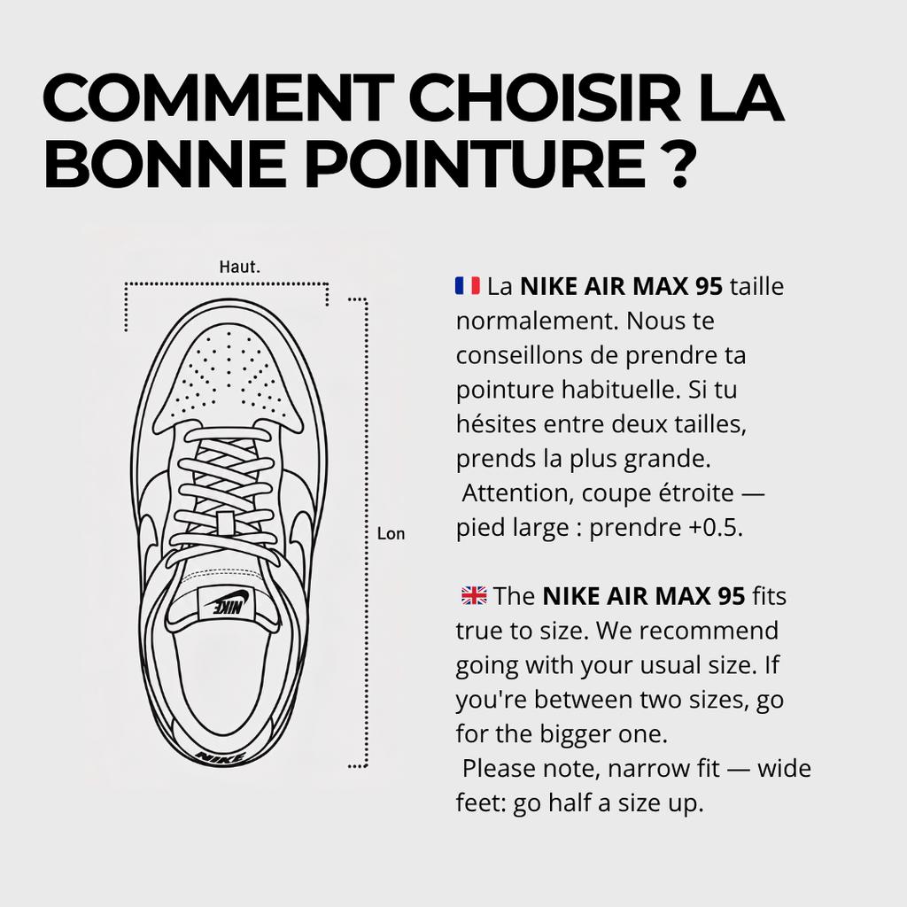 Nike Air Max 95 SB Cactus Flower