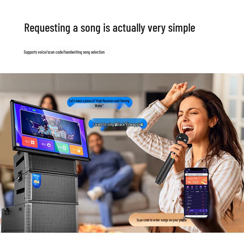 PHILIPS SD809 Professional KTV Karaoke Speaker System