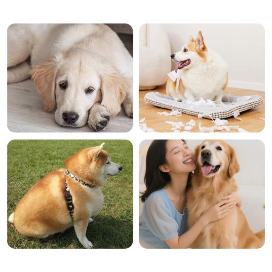 Pet Ball Toy with Tail Rope Rechargeable USB Design Interactive Rolling Cat Toy Boredom