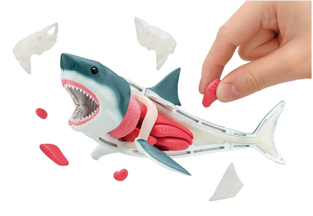 MegaHouse Disassembly Puzzle Great White Shark 6 and (Ages Up)