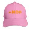 New Democratic Party of Canada Baseball Cap Christmas Hat Foam Party Hat Custom Hat Golf Wear FeUnisex Unisexs