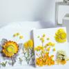 Naturalne kolorowe suszone kwiaty Diy rzemiosło pakiet materiałów na świeca zapachowa ręcznie girlanda ramka na zdjęcia Scrapbooking tworzenie kartek