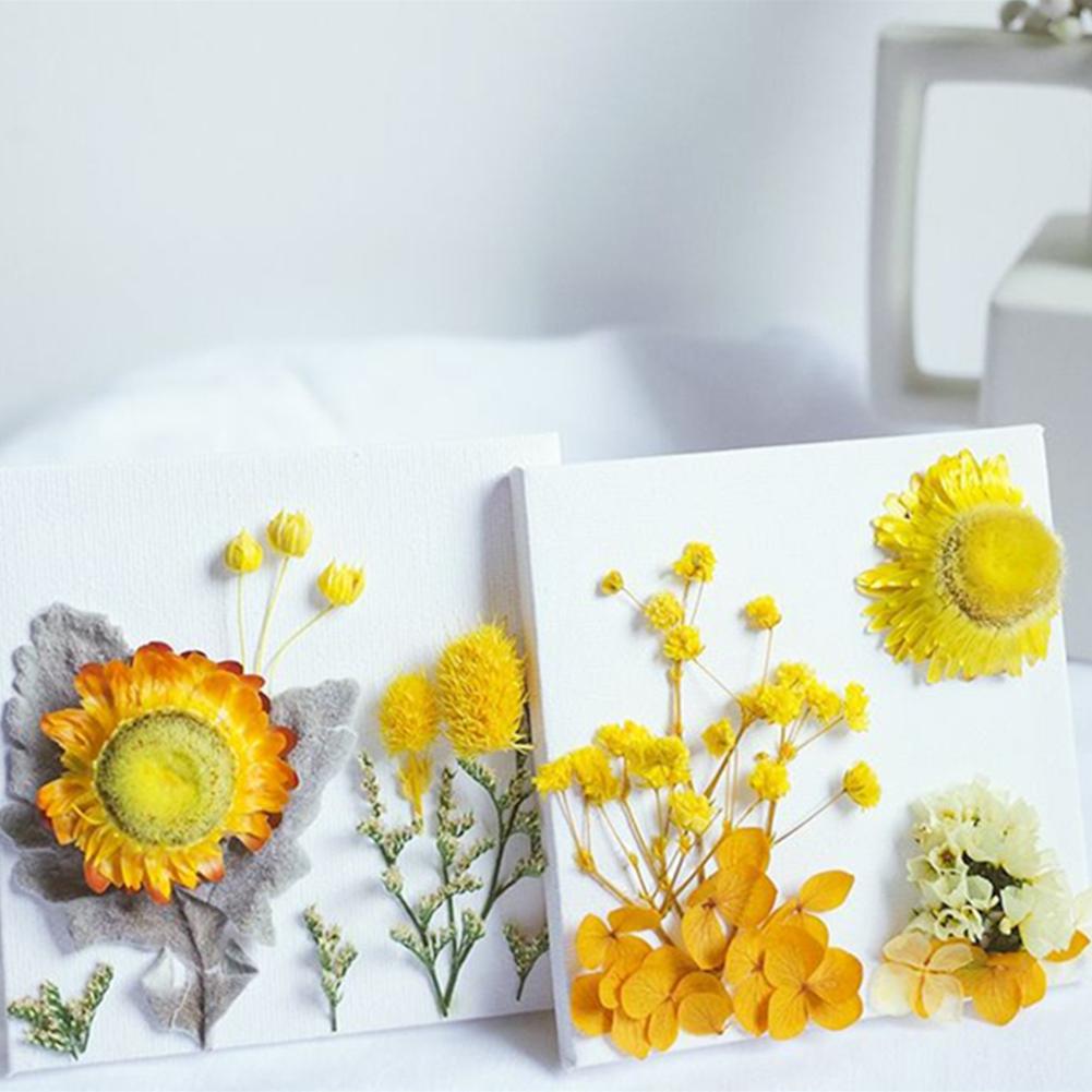 Naturalne kolorowe suszone kwiaty Diy rzemiosło pakiet materiałów na świeca zapachowa ręcznie girlanda ramka na zdjęcia Scrapbooking tworzenie kartek