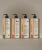 Laxcent Body Wash 488ml (Select 1 of 4)