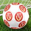 Energie Cottbus Logo Size 5 Soccer Ball, Machine-Stitched PVC, Durable & High Bounce, All Ages Fit, Fan Merchandise, Matches & Outdoor Use.