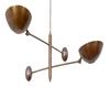 2 Light Pendant Mid Century Modern Raw Brass Sputnik Chandelier Light Fixture