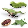 Realistic Pvc 4 Piece Luna Moth Growth Cycle Model Detailed Display Figurine Set