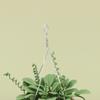 Dollhouse Miniature Hanging Basket Mini Potted Plant Flowers Pot Dollhouse Decor