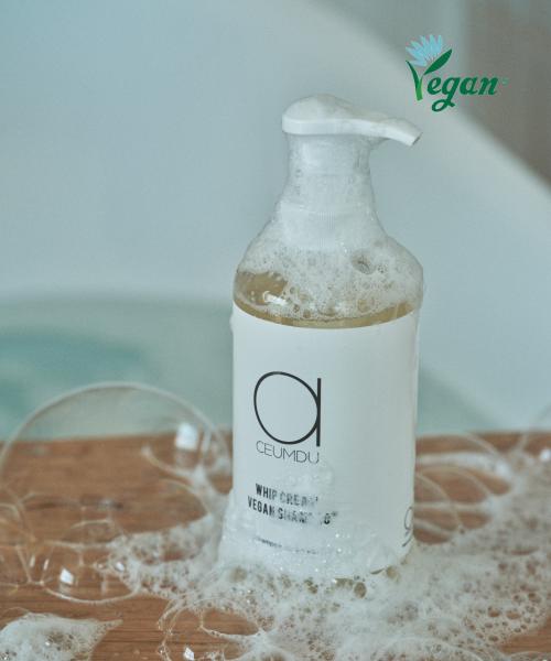 [Set] Whipped Cream Vegan Shampoo 500ml + Cream Bread Treatment 250ml
