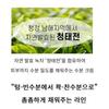 TONYMOLY Green Tea Watery Cream, 60ml, 1 piece